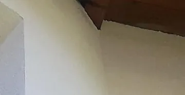 116435375_3081053311960172_2337688976598824189_n.jpg