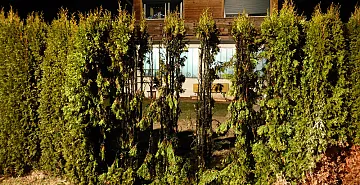 3_p1020853.jpg