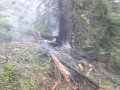 img20170531wa0019.jpg