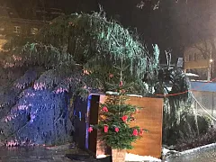 img20181224wa0013.jpg