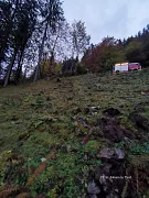 img_20201017_181835.jpg