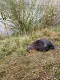 img_2903.jpeg