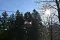 dsc_0184.jpg