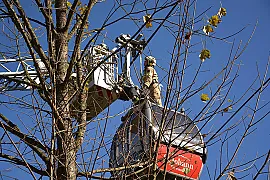 dsc_0219.jpg