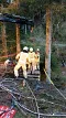 img20170502wa0037.jpg