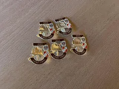 380867804_699094445592463_828996346280598455_n.jpg